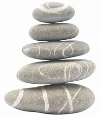 Zen organisation